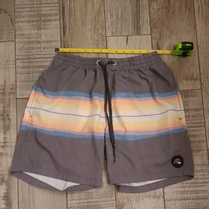 Men's Gray Swim Shorts with Multicolor Stripes